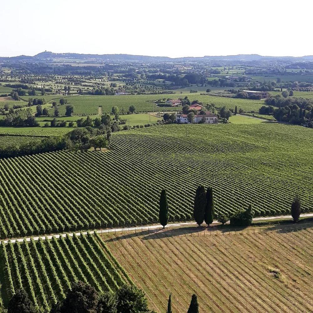 Albergo Quatro Pini Pozzolengo Luaran gambar